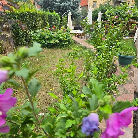 Apartmanski Smestaj Solaris Kod Aqua Parka Yuth Apartman *