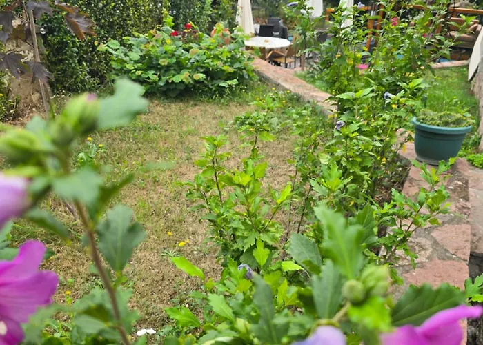 Apartmanski Smestaj Solaris Kod Aqua Parka Yuth Lejlighed *